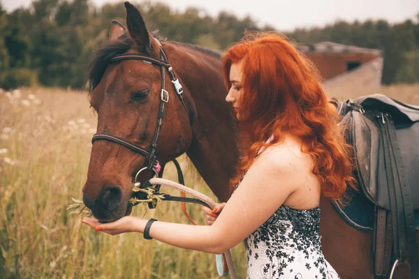 Menina bonita com seu cavalo andando juntos — Fotografia de Stock