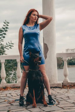 köpeği siyah doberman açık havada birlikte yürüyüş ile güzel kadın sahibi