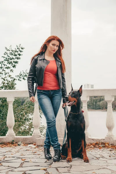 彼女の犬の黒いドーベルマン屋外で一緒に歩いて美しい女性の所有者 — ストック写真