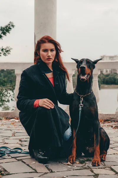 Bela mulher proprietário com seu cão preto doberman ao ar livre andando juntos — Fotografia de Stock