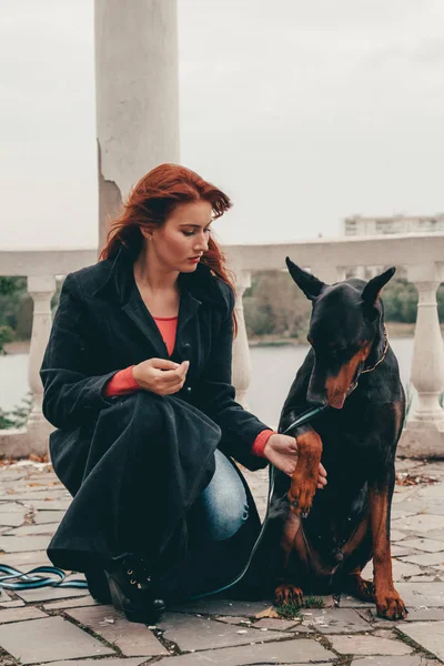 Όμορφη γυναίκα ιδιοκτήτη με το σκύλο της μαύρο Ντόμπερμαν υπαίθρια Περπάτημα μαζί — Φωτογραφία Αρχείου