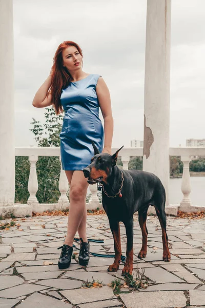 Hermosa mujer propietaria con su perro negro doberman al aire libre caminando juntos —  Fotos de Stock