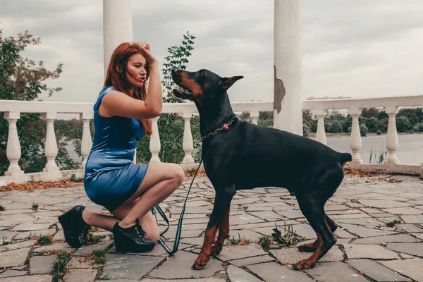 Όμορφη γυναίκα ιδιοκτήτη με το σκύλο της μαύρο Ντόμπερμαν υπαίθρια Περπάτημα μαζί — Φωτογραφία Αρχείου