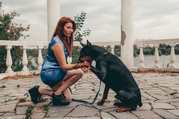 Krásná žena s jejím psem černým dobrmanem venkovní procházky — Stock fotografie