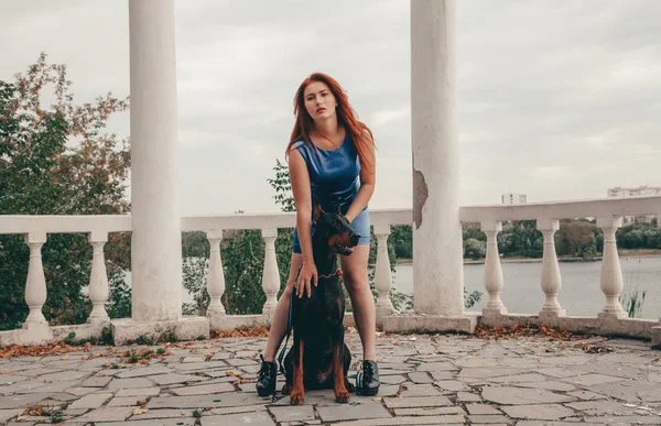 Bela mulher proprietário com seu cão preto doberman ao ar livre andando juntos — Fotografia de Stock
