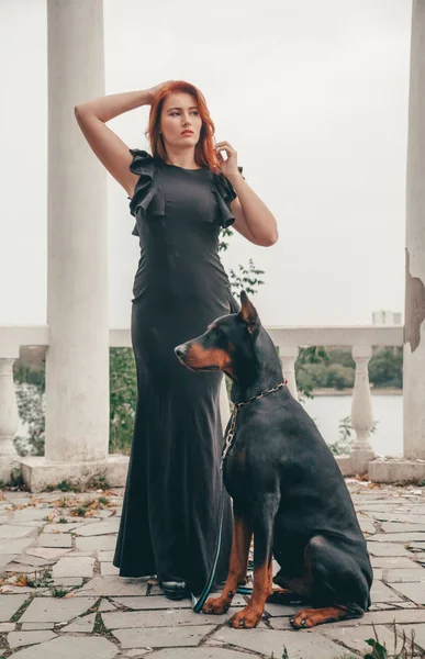 Femeie frumoasă proprietar cu ei câine negru doberman în aer liber de mers pe jos împreună — Fotografie, imagine de stoc