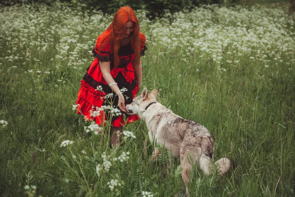 Meisje met grote grijze hond op de natuur achtergrond op zomertijd. Lifestyle Photo. — Stockfoto