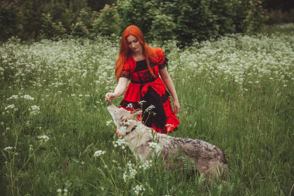 Dívka s velkým šedým psem v létě v pozadí přírody. Fotografie životního stylu. — Stock fotografie