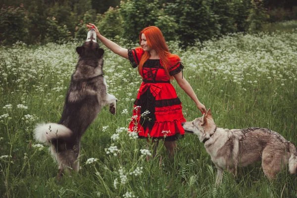 Meisje met grote grijze hond op de natuur achtergrond op zomertijd. Lifestyle Photo. — Stockfoto