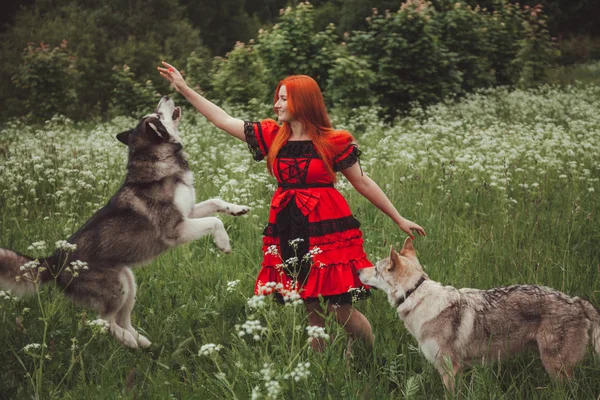 Dívka s velkým šedým psem v létě v pozadí přírody. Fotografie životního stylu. — Stock fotografie