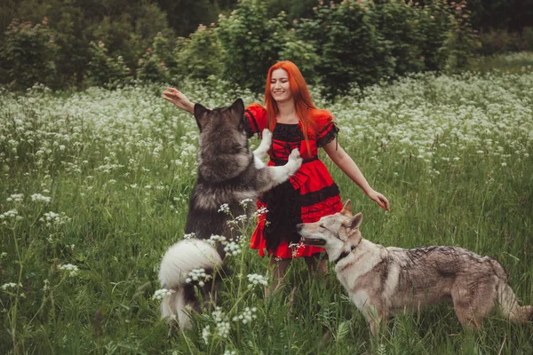 Meisje met grote grijze hond op de natuur achtergrond op zomertijd. Lifestyle Photo. — Stockfoto