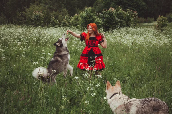 Dívka s velkým šedým psem v létě v pozadí přírody. Fotografie životního stylu. — Stock fotografie