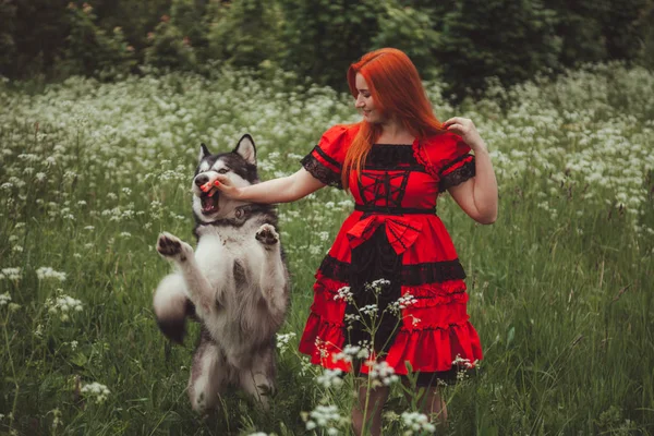 Menina com grande cão cinza no fundo da natureza na hora de verão. Estilo de vida foto . — Fotografia de Stock