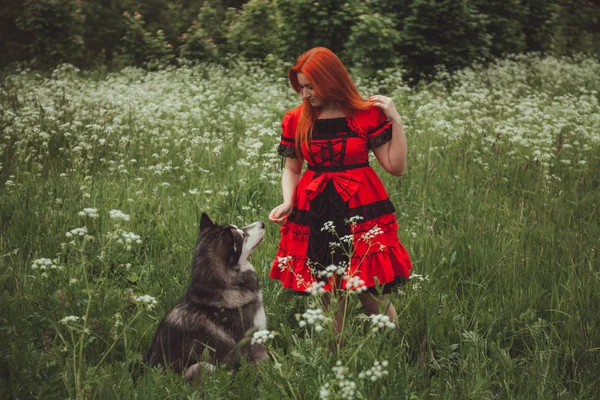 Yaz mevsiminde doğa arka planda büyük gri köpekli kız. Yaşam tarzı fotoğrafı. — Stok fotoğraf