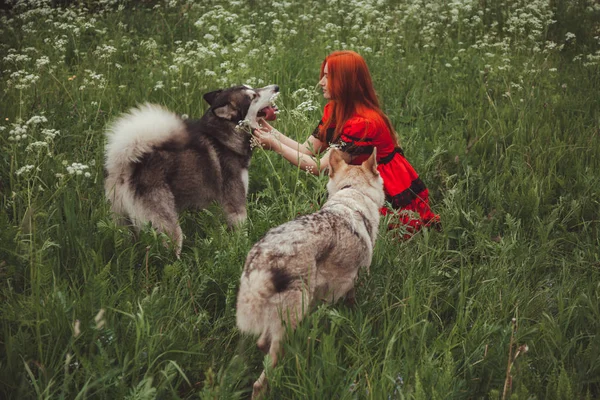 Yaz mevsiminde doğa arka planda büyük gri köpekli kız. Yaşam tarzı fotoğrafı. — Stok fotoğraf