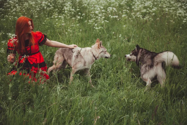 Menina com grande cão cinza no fundo da natureza na hora de verão. Estilo de vida foto . — Fotografia de Stock
