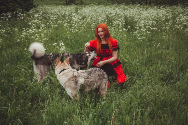 Dziewczyna z dużym szarym psem na tle natury w czasie letnim. Zdjęcie Lifestyle. — Zdjęcie stockowe
