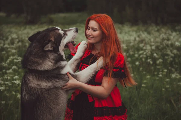 Chica con gran perro gris en el fondo de la naturaleza en la hora de verano. Estilo de vida foto . — Foto de Stock