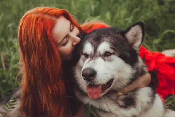 Menina com grande cão cinza no fundo da natureza na hora de verão. Estilo de vida foto . — Fotografia de Stock