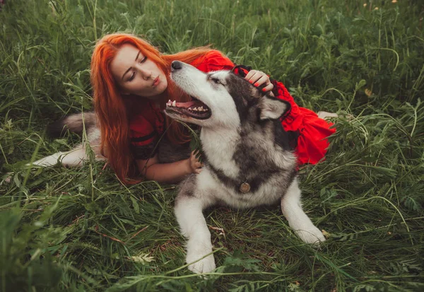 夏の時に自然の背景に大きな灰色の犬を持つ女の子。ライフスタイル写真. — ストック写真