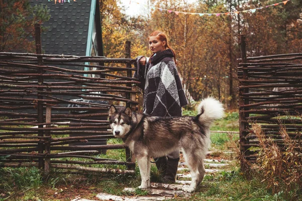 Rudowłosy kaukaski kobieta właściciel z jej Malamute szary duży pies w Camping — Zdjęcie stockowe