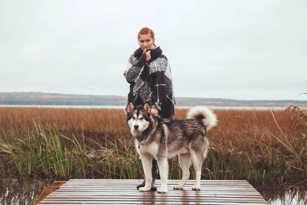 Redhaired kaukázusi nő tulajdonosa Malamute szürke nagy kutya a tó közelében — Stock Fotó