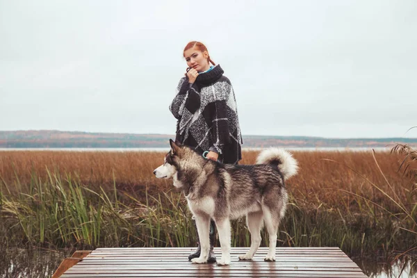 Roux femme caucasienne propriétaire avec son malamute gris gros chien près du lac — Photo