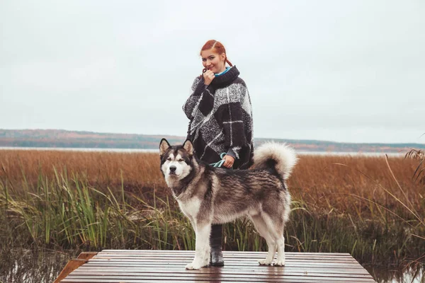 빨간 머리 백인 여성 소유자 와 그녀의 malamute 회색 큰 개 근처 호수 — 스톡 사진