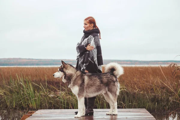 빨간 머리 백인 여성 소유자 와 그녀의 malamute 회색 큰 개 근처 호수 — 스톡 사진