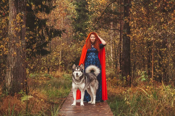 Dívka v modrých šatech a červený plášť v lese na silnici s velkým psem Malamute — Stock fotografie