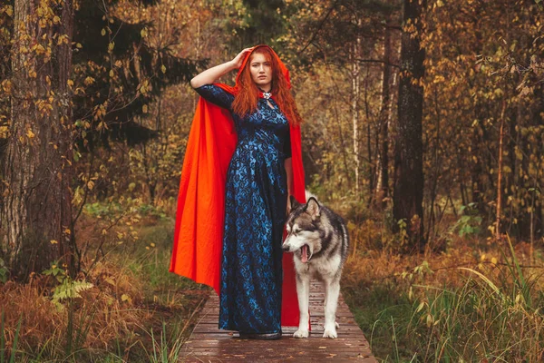 Dívka v modrých šatech a červený plášť v lese na silnici s velkým psem Malamute — Stock fotografie