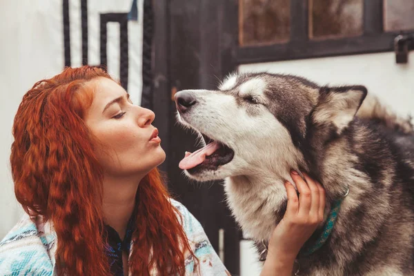 Ragazza con il suo cane Malamute vicino a casa lontano dalla civiltà nel bosco — Foto Stock