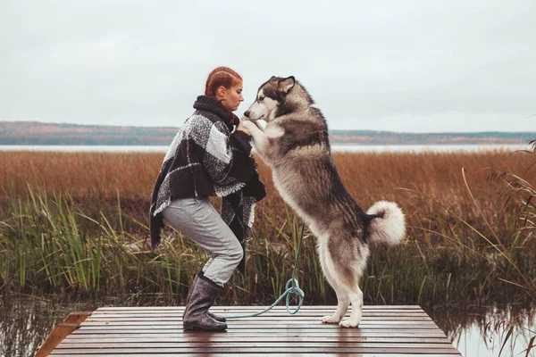 Roux femme caucasienne propriétaire avec son malamute gris gros chien près du lac — Photo