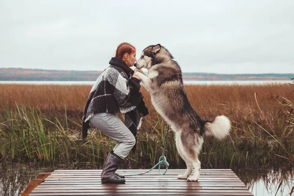 Roux femme caucasienne propriétaire avec son malamute gris gros chien près du lac — Photo