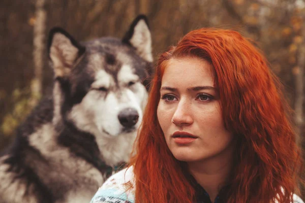 Rödhårig kaukasiska kvinna ägare med sin Malamute Grey Big dog — Stockfoto