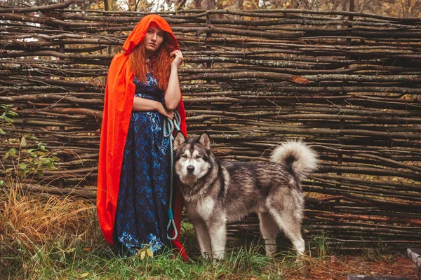 Chica con un perro de pie en la cerca de mimbre de ramas delgadas en el otoño — Foto de Stock