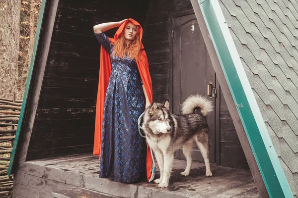 Kobieta właściciel i jej pies Malamute pobliżu ich trójkątny czarny dom gotowy do walk w lesie — Zdjęcie stockowe