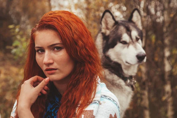 Onu malamute gri büyük köpek ile kızıl saçlı kafkas kadın sahibi — Stok fotoğraf