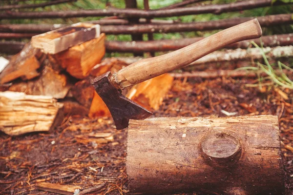 Kütükte balta var. ahşap yakın yere yatıyordu