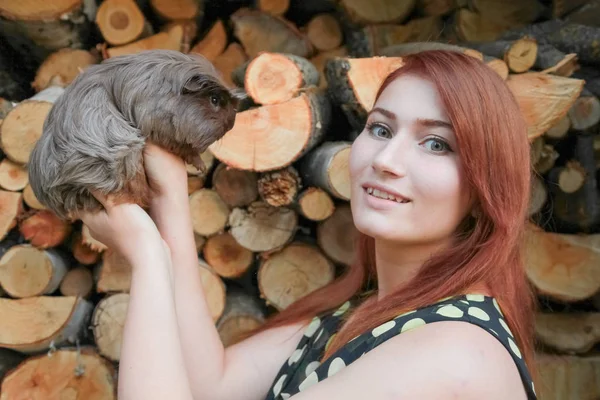 Кавказька дівчина зі своїм другом Гвінея свиня разом — стокове фото