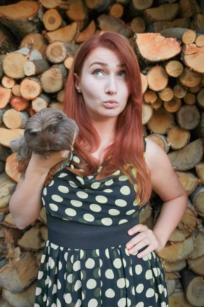 Кавказская девушка со своей подругой Морской свиньёй вместе — стоковое фото