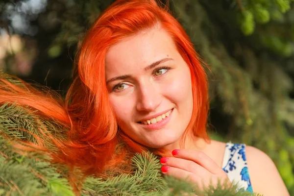 Schöne junge Frau, die im Wald neben Tannen steht. langes Haar auf den Ästen der Fichte liegend — Stockfoto