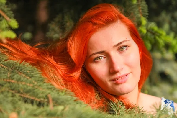 Belle jeune femme debout dans la forêt près des sapins. cheveux longs couchés sur les branches de l'épinette — Photo