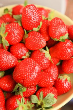 Taze hasat kırmızı çilek kökenli