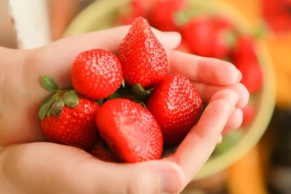 Palmas sostiene fresas rojas recién cosechadas — Foto de Stock