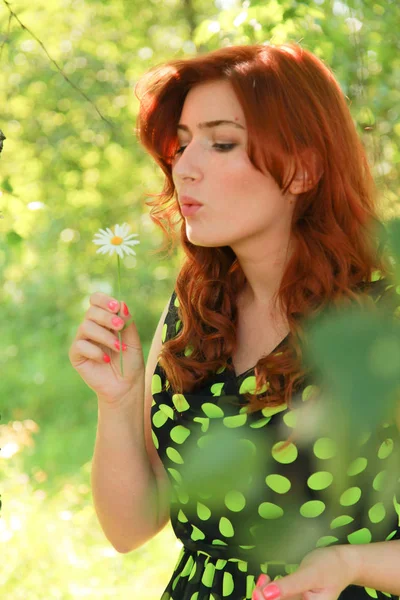 Schöne Mädchen geht mit Kamillenblüte in sonnigem Sommertag. — Stockfoto