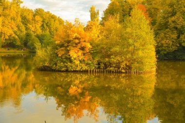 sarı dalları ve kimse ile yansıması ile su yakınında yaprakları ile güzel sonbahar ağaçları
