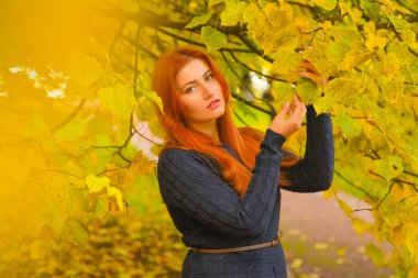 genç güzel artı boyutu kafkas kadın sonbahar parkta yürüyor