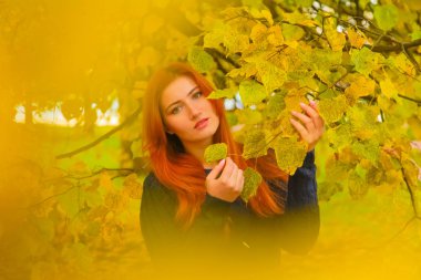 genç güzel artı boyutu kafkas kadın sonbahar parkta yürüyor