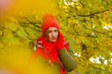 genç güzel artı büyük beyaz kadın pompom ve örme eldiven ile kırmızı şapkalı sonbahar parkta yürüyor